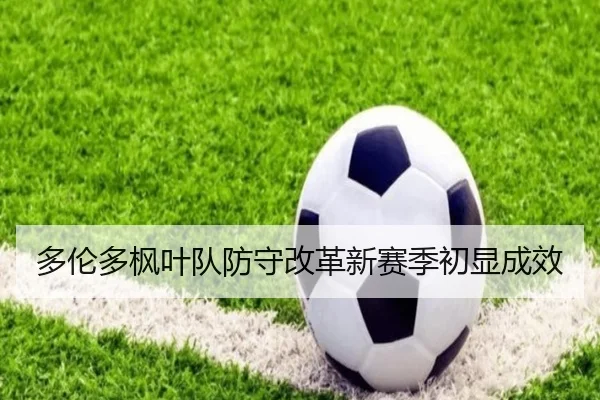 多伦多枫叶队防守改革新赛季初显成效